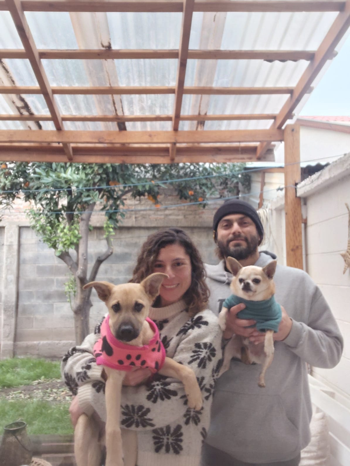 Nuestra Timi, ahora llamada Mily 🥰🐾, junto a su hermanita y toda su hermosa familia ❤️🏡✨