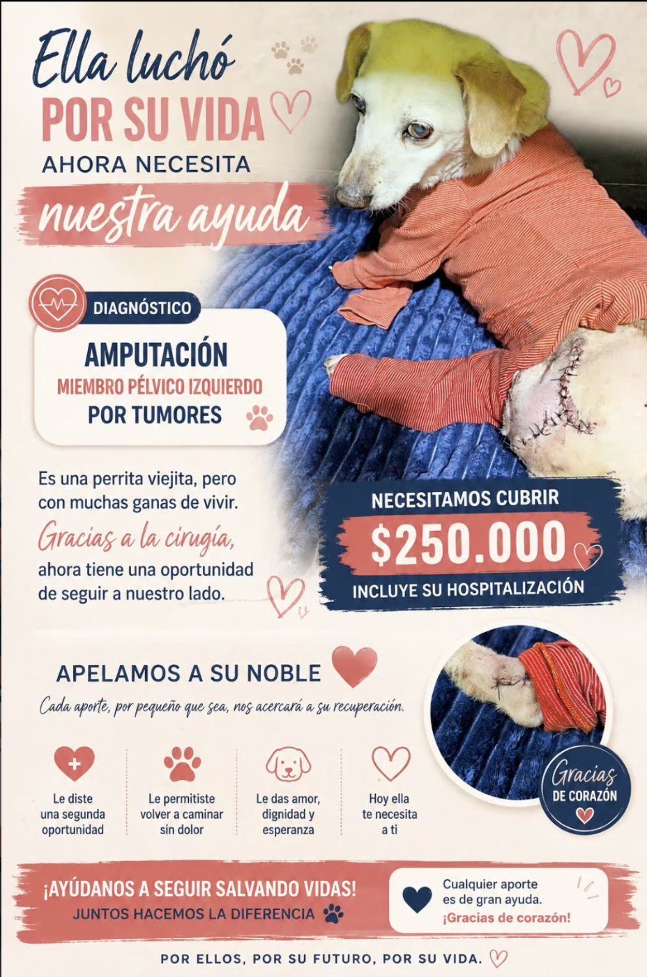 Blanquita luchó por su vida ahora necesita de nuestra ayuda!!