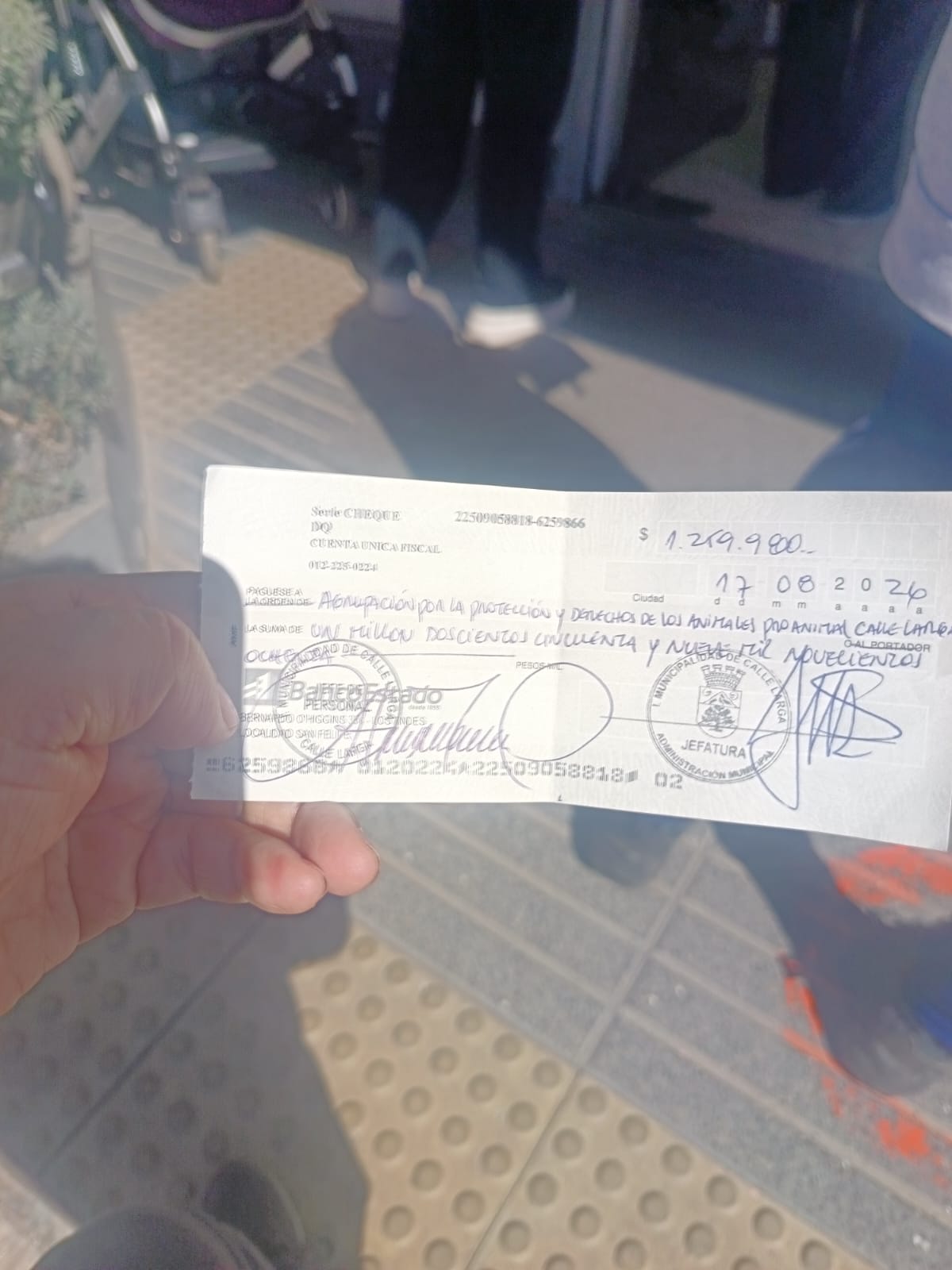 🐾 ¡Nos ganamos el FONDECO! Amor que deja huellas, un paso a la vez