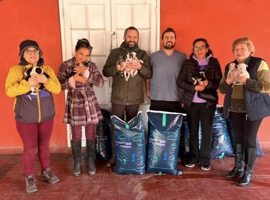 🐾 Pequeñas acciones, grandes noticias para nuestros peluditos de San Felipe! 🐶🐱