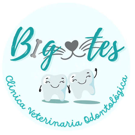 Clínica odontológica Veterinaria Bigotes