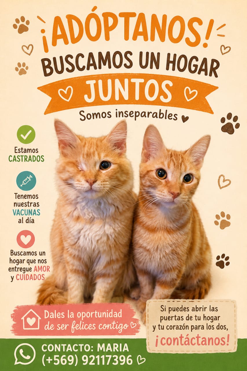 Leoncito y Nini
