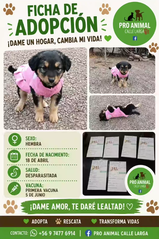 Rosita
